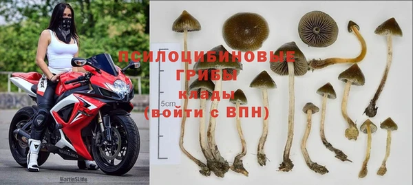 первитин Алексеевка
