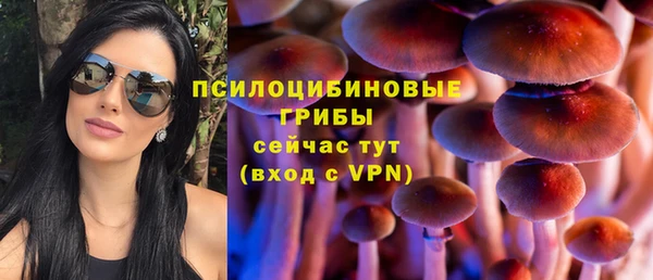 спайс Горно-Алтайск