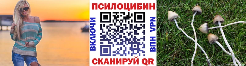 Галлюциногенные грибы Magic Shrooms  Шахты 